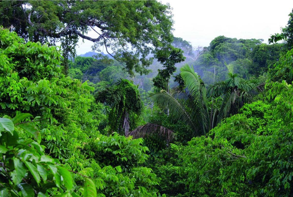 Biodiversidad Ecuatoriana
